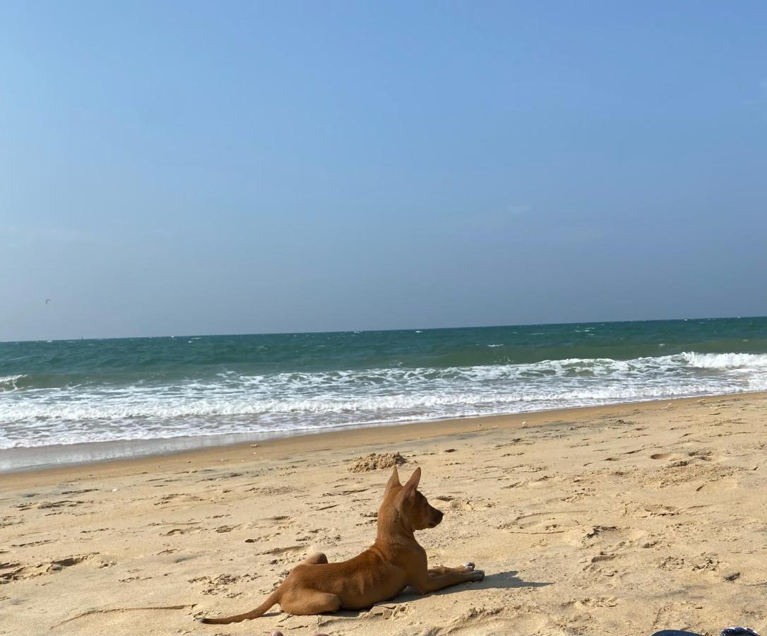 Sea Sand Resort Kalpitiya Bagian luar foto