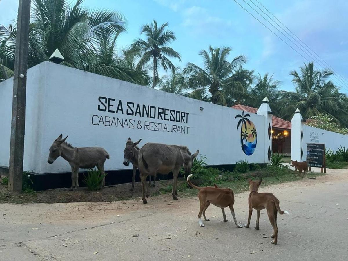 Sea Sand Resort Kalpitiya Bagian luar foto