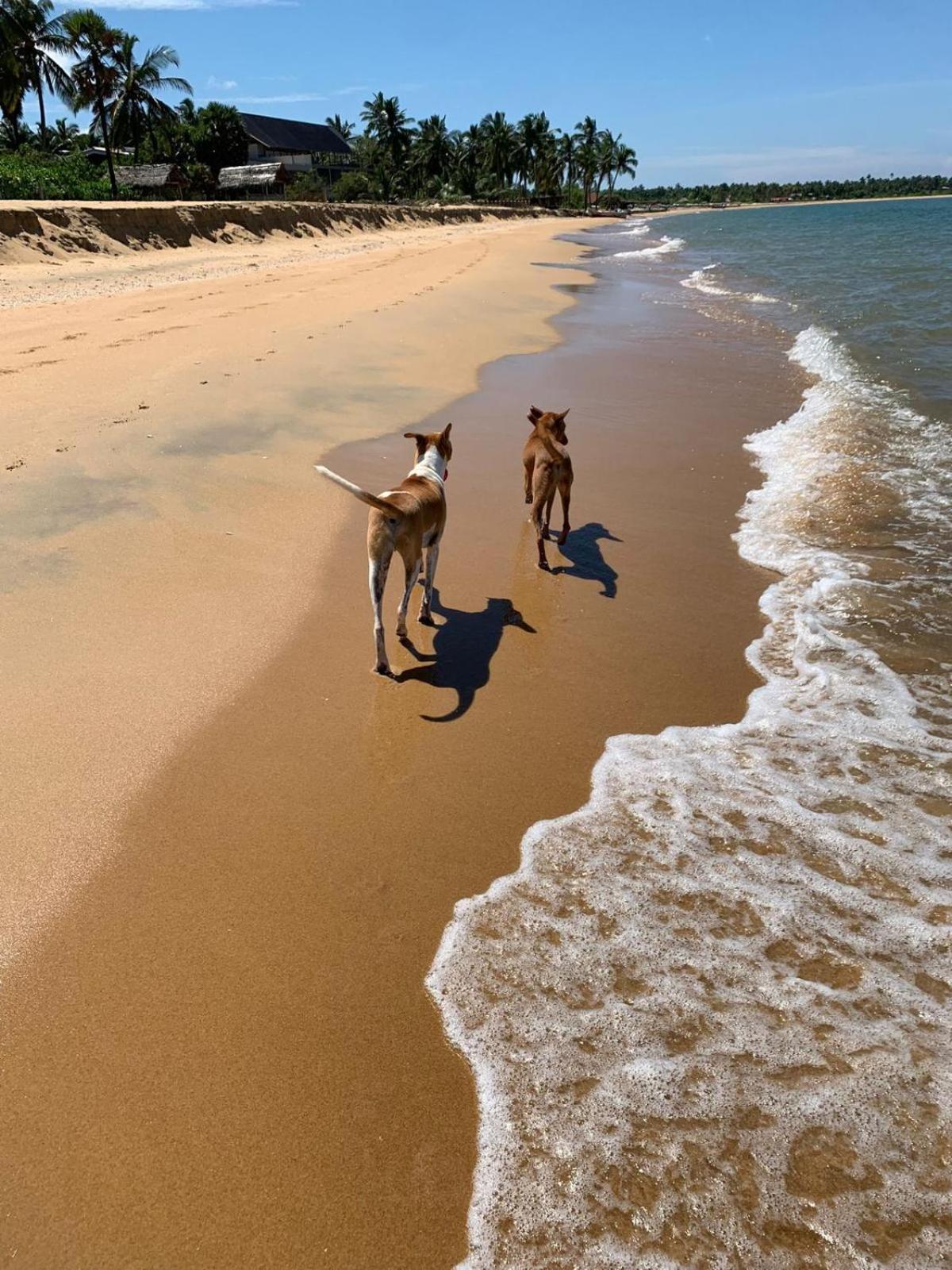 Sea Sand Resort Kalpitiya Bagian luar foto