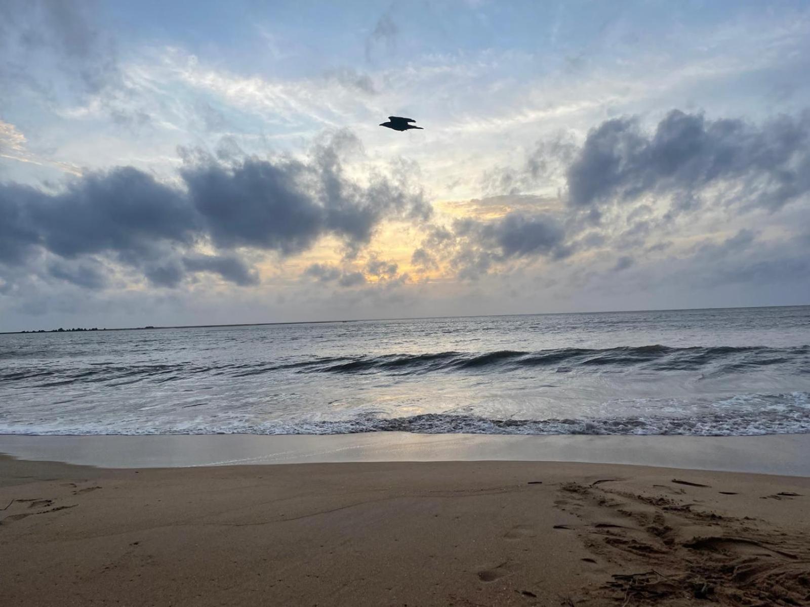 Sea Sand Resort Kalpitiya Bagian luar foto