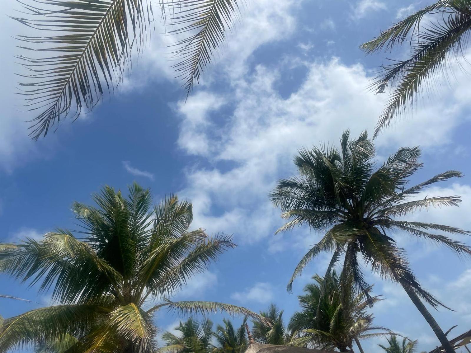 Sea Sand Resort Kalpitiya Bagian luar foto